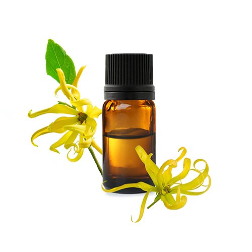 Huile essentielle d’ylang-ylang – détente émotionnelle et réduction des tensions