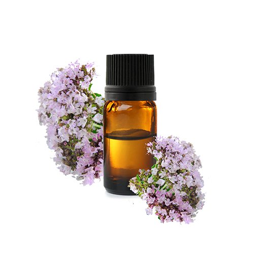 Huile essentielle de marjolaine – action calmante et soutien du sommeil