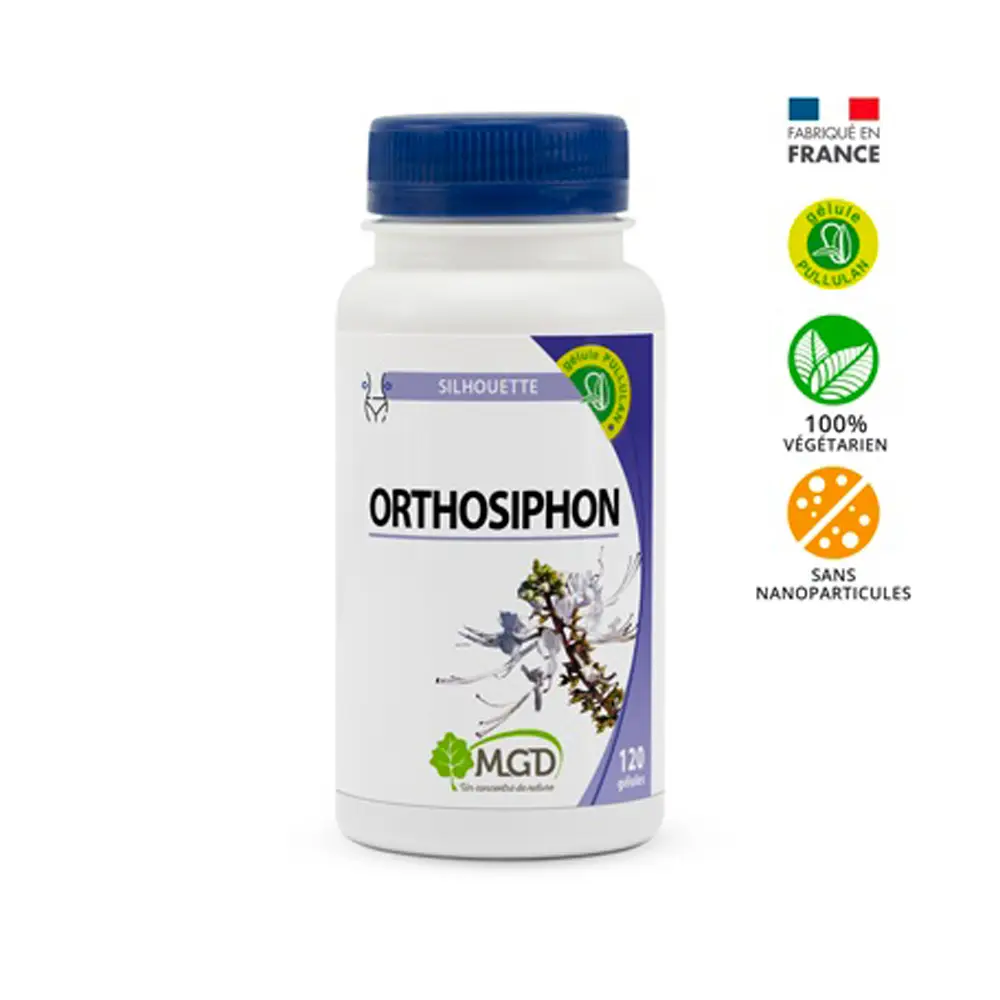 Orthosiphon MGD pour drainage naturel et réduction de la rétention d’eau