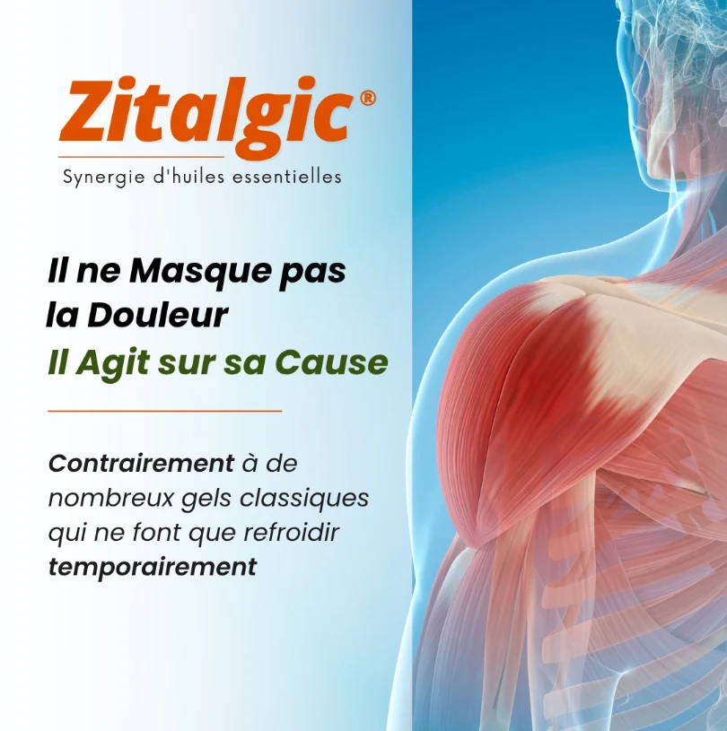 Zitalgic® – Huile de Massage | Confort Articulaire, Musculaire & Nerveux – Image 4