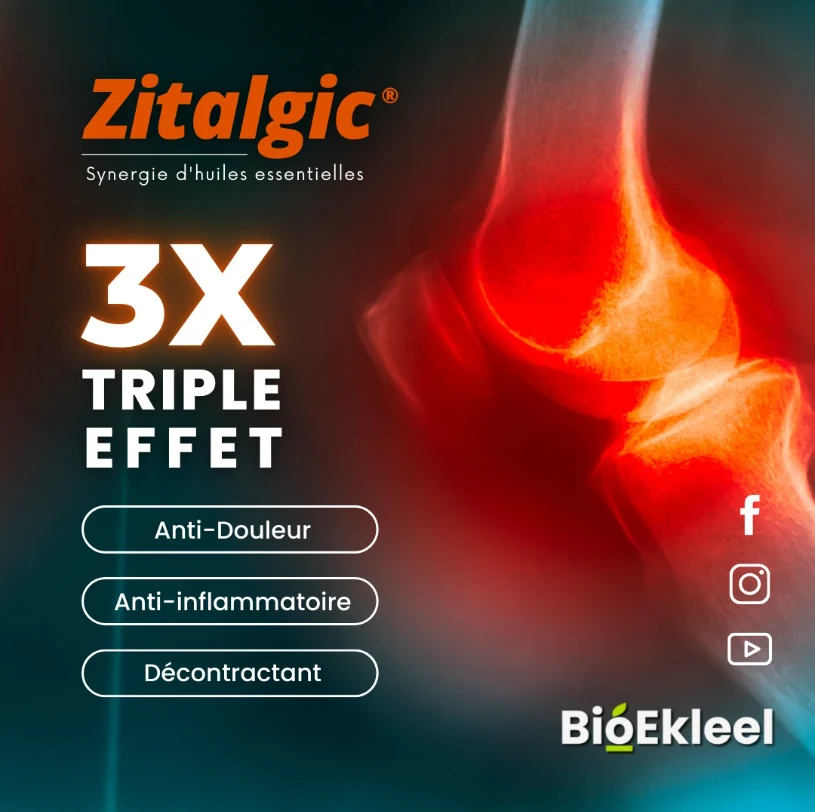 Zitalgic® – Huile de Massage | Confort Articulaire, Musculaire & Nerveux – Image 2
